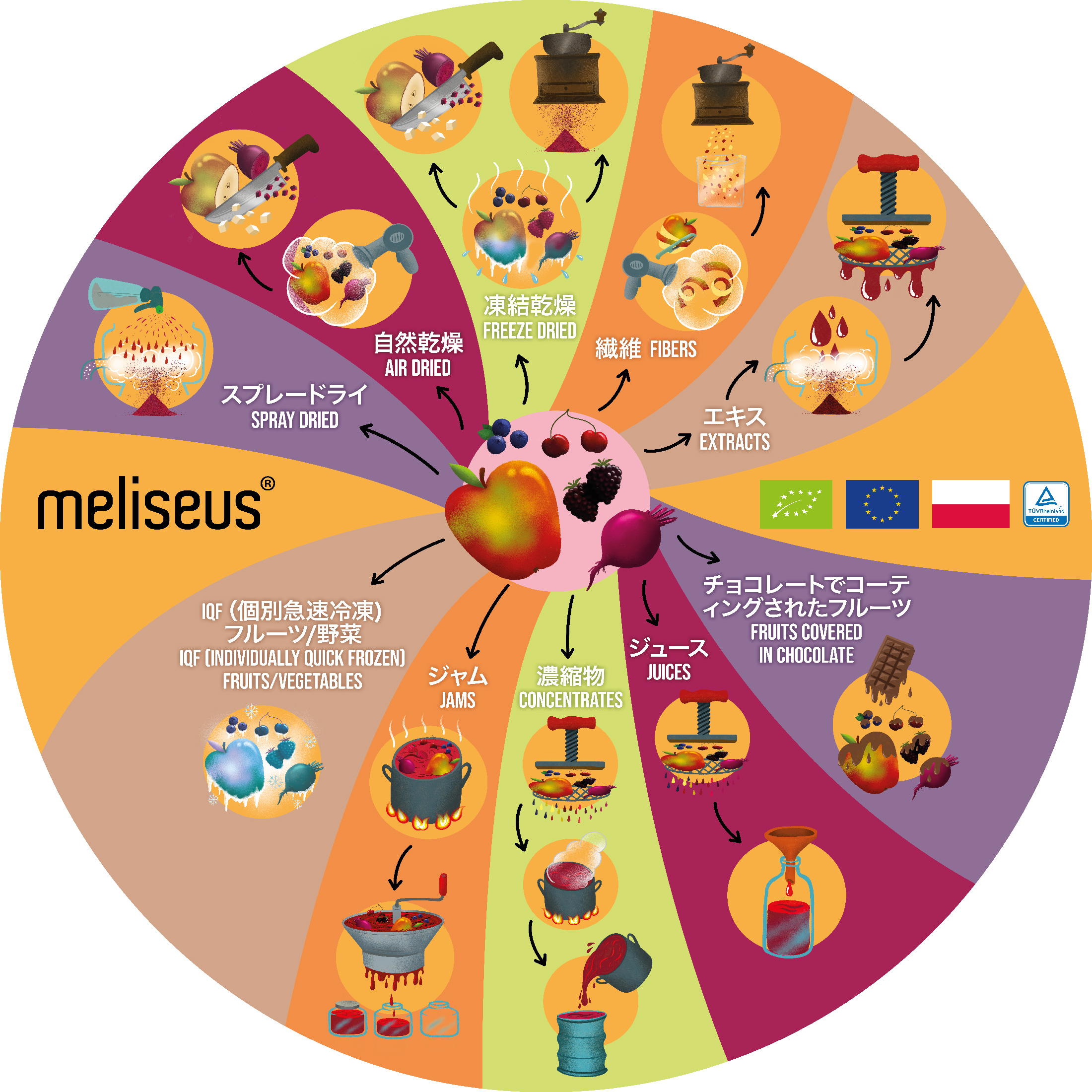 Meliseus background